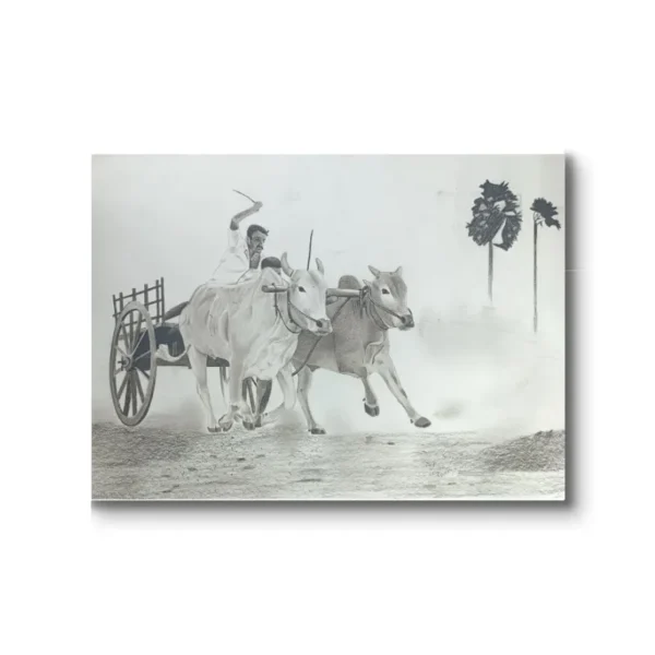 Racing Bullock Cart